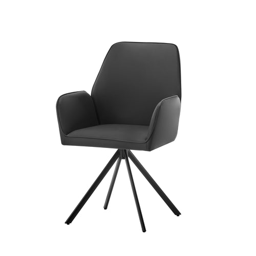 Dining Chairs with Arms